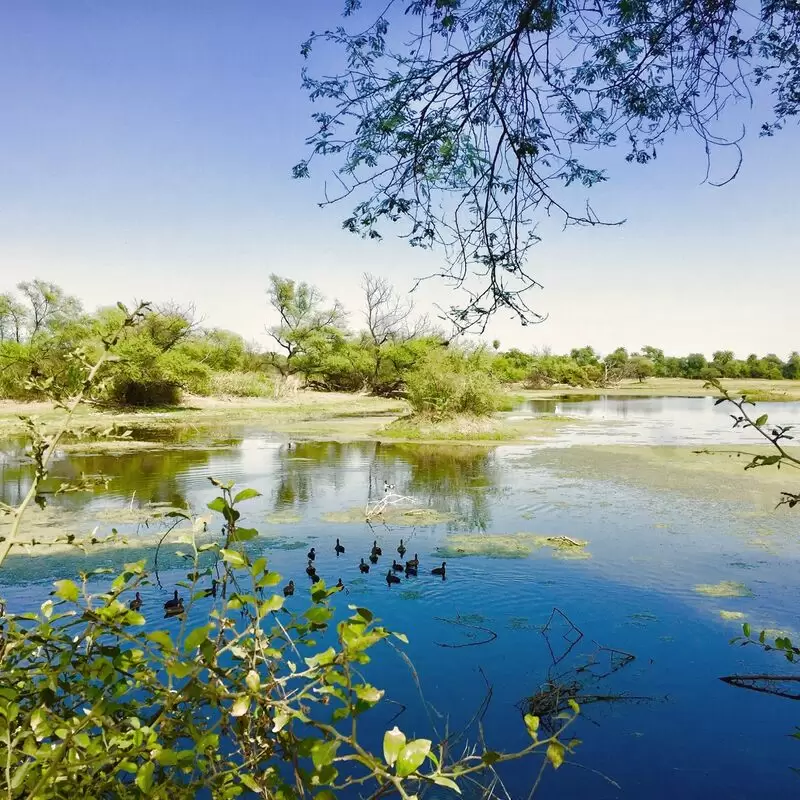 Bharatpur Bird Sanctuary