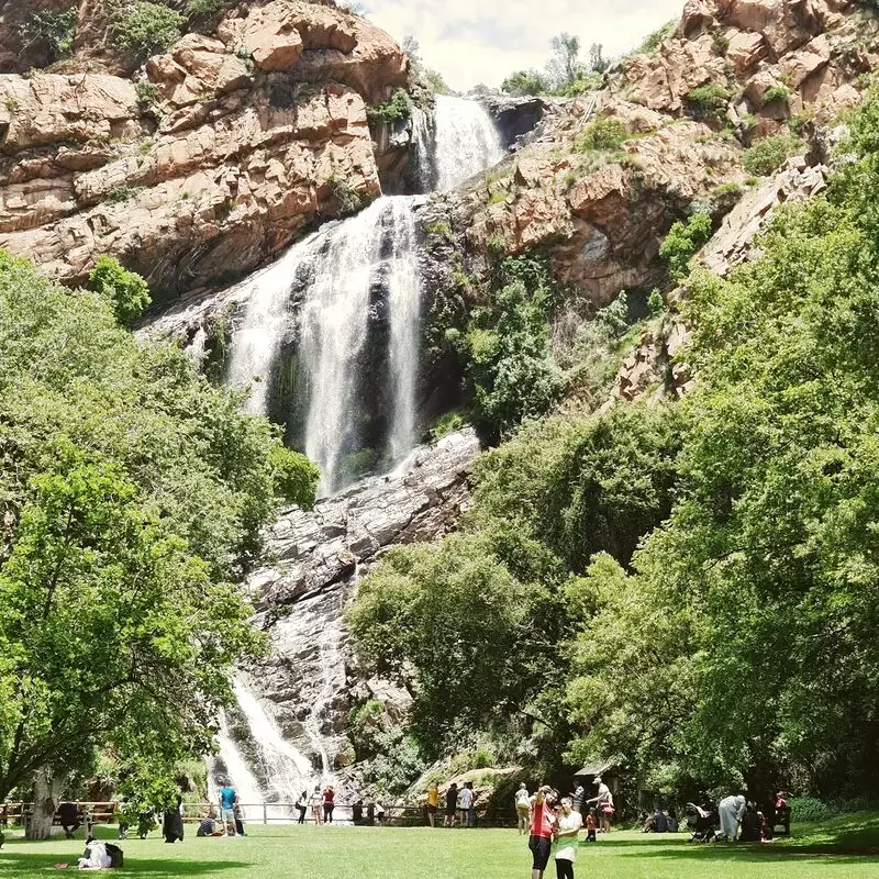 Walter Sisulu National Botanical Garden