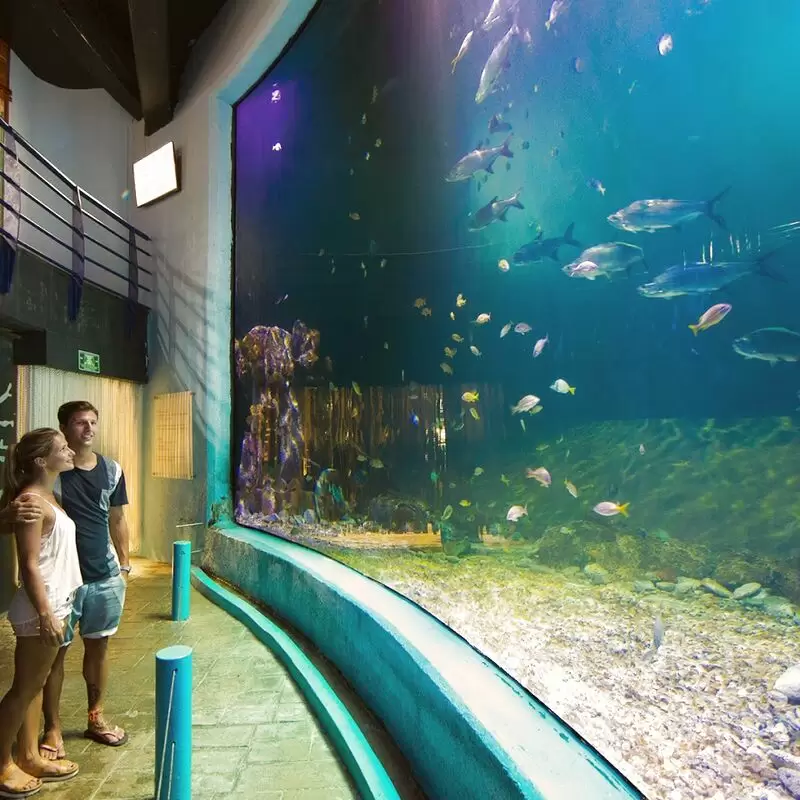 Interactive Aquarium Cancún