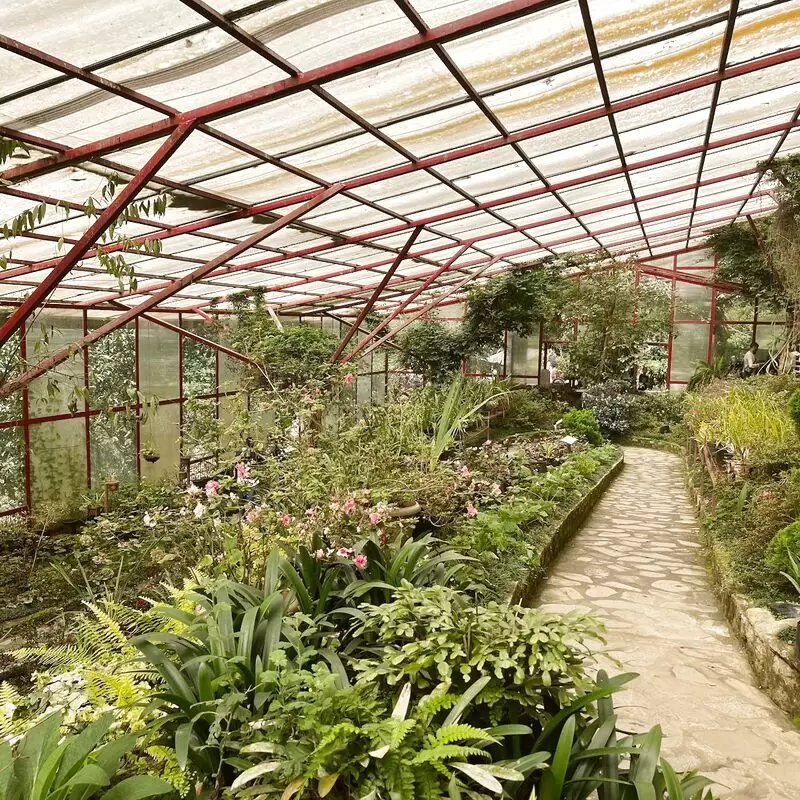 Plant Conservatory