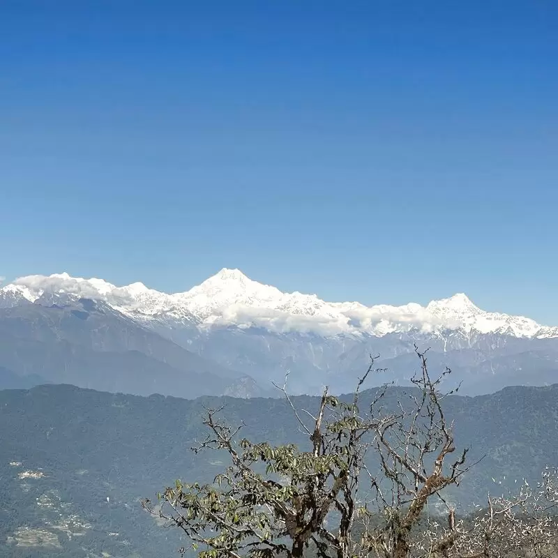 Kanchenjunga View Point