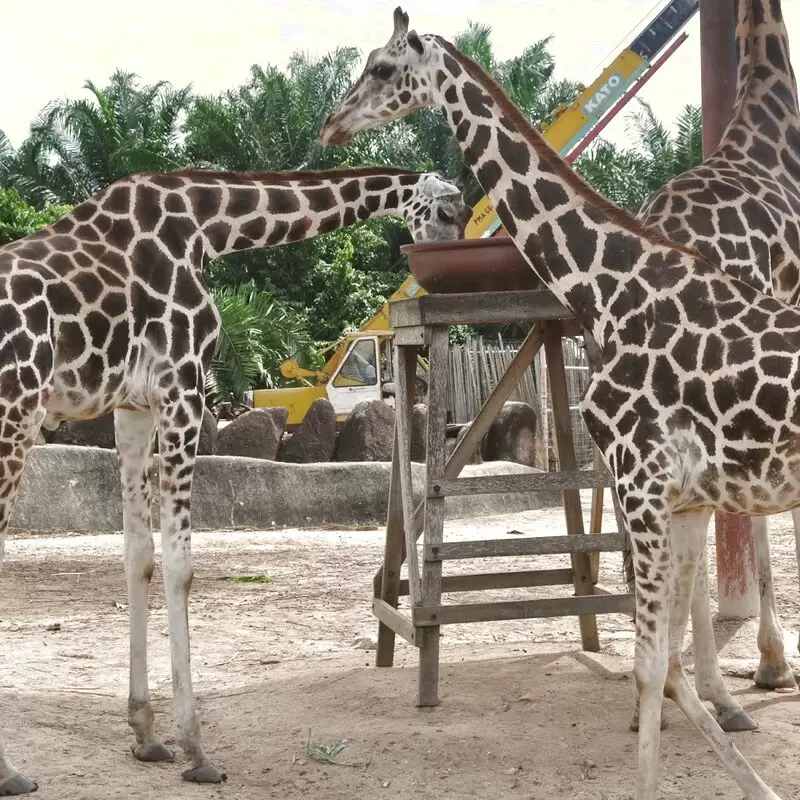 A'Famosa Safari Wonderland