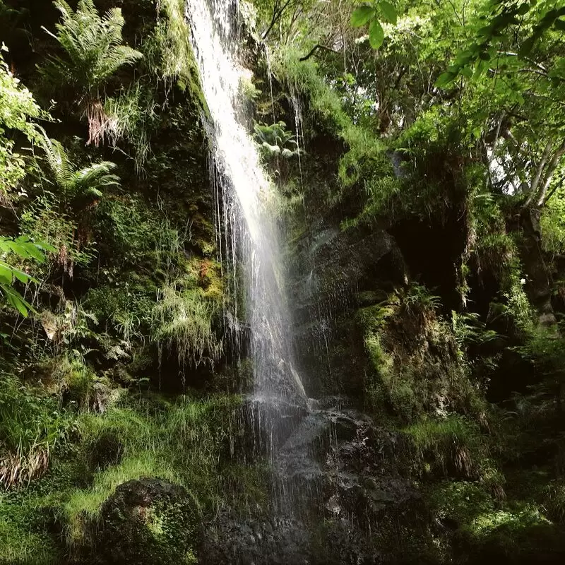 Mallyan Spout Waterfall