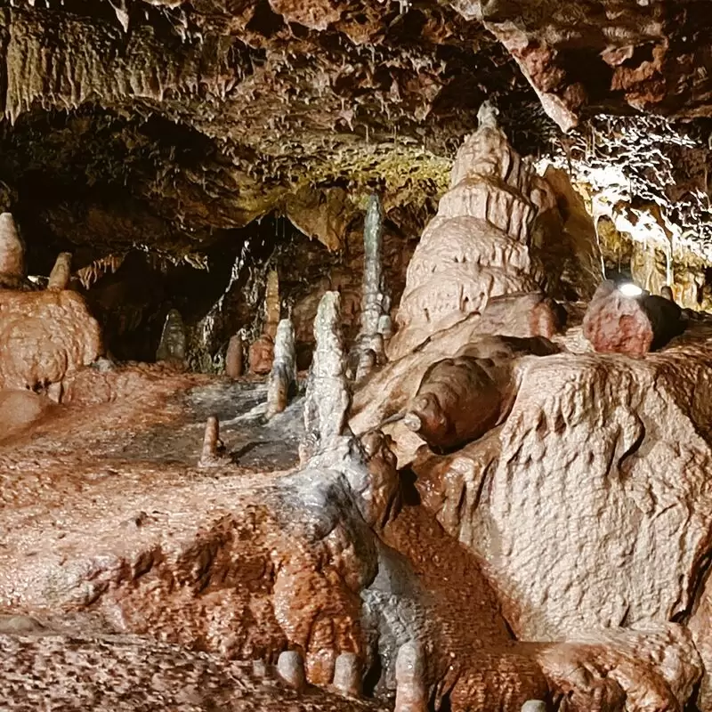 Kents Cavern Prehistoric Caves