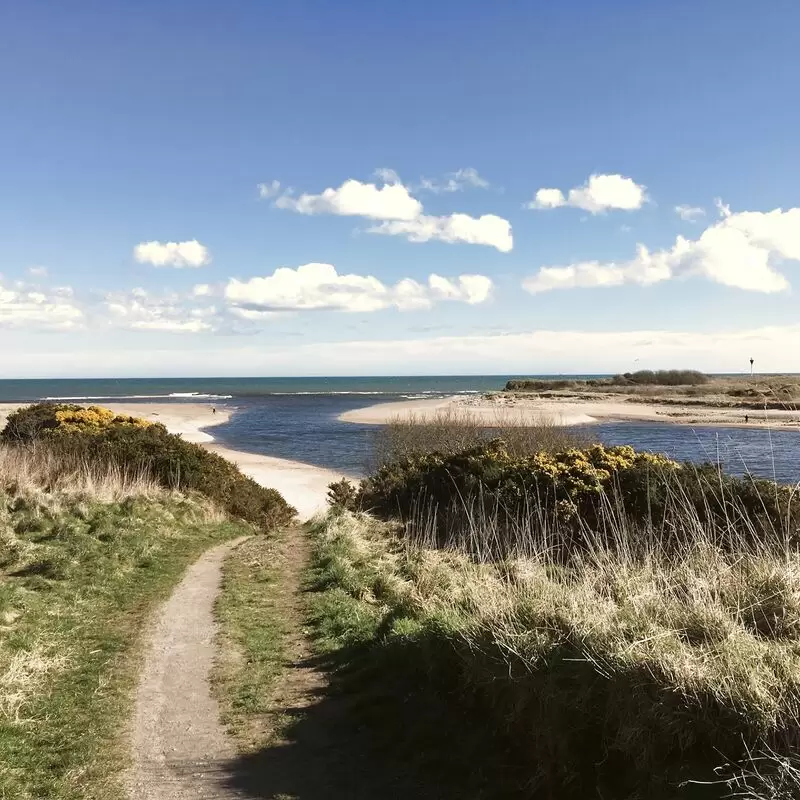 Donmouth Local Nature Reserve