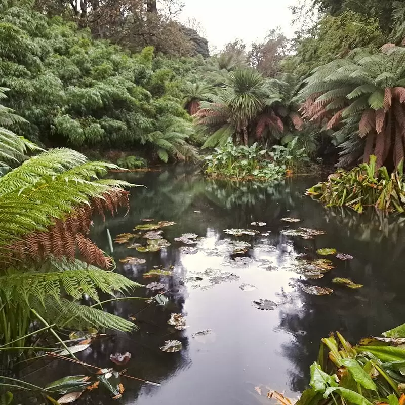 The Lost Gardens of Heligan