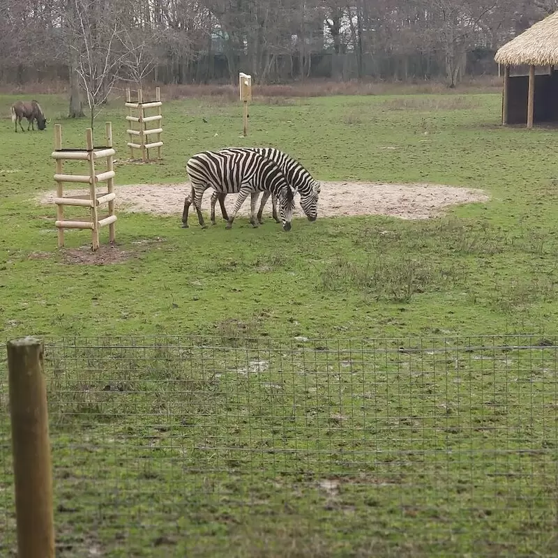 Newquay Zoo