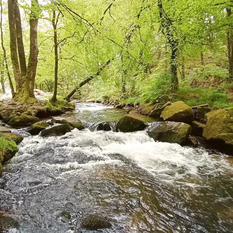 Golitha Falls