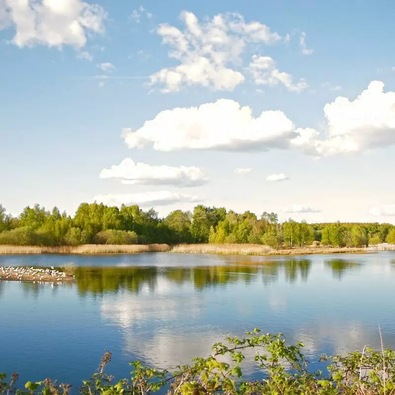 Whisby Nature Park