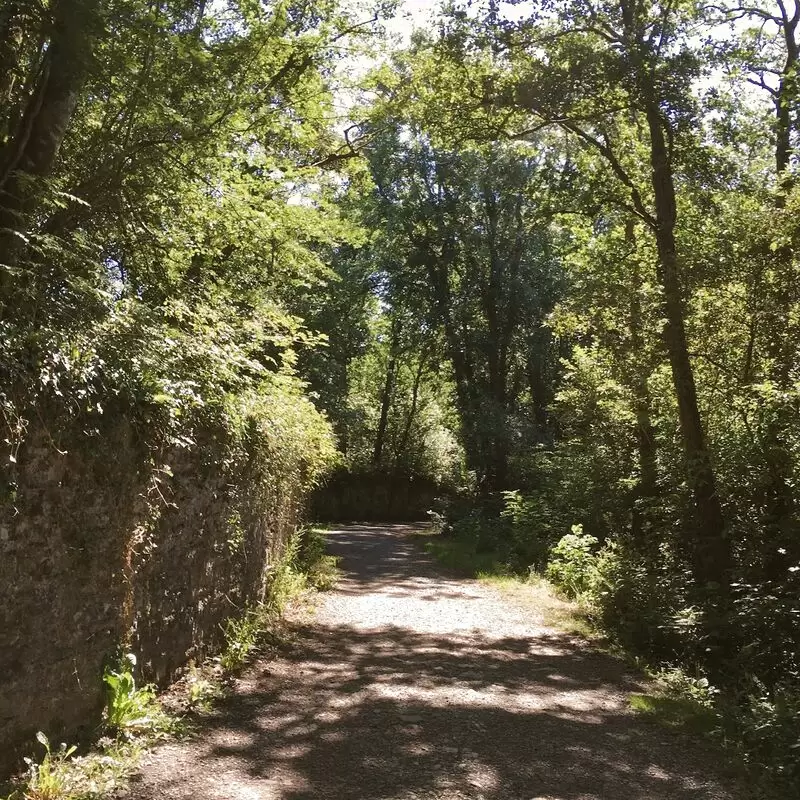 Regional Park Ballincollig