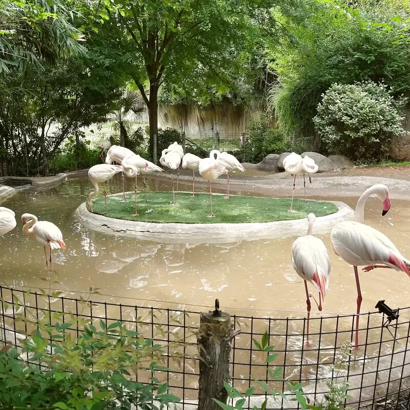 Fort Worth Zoo