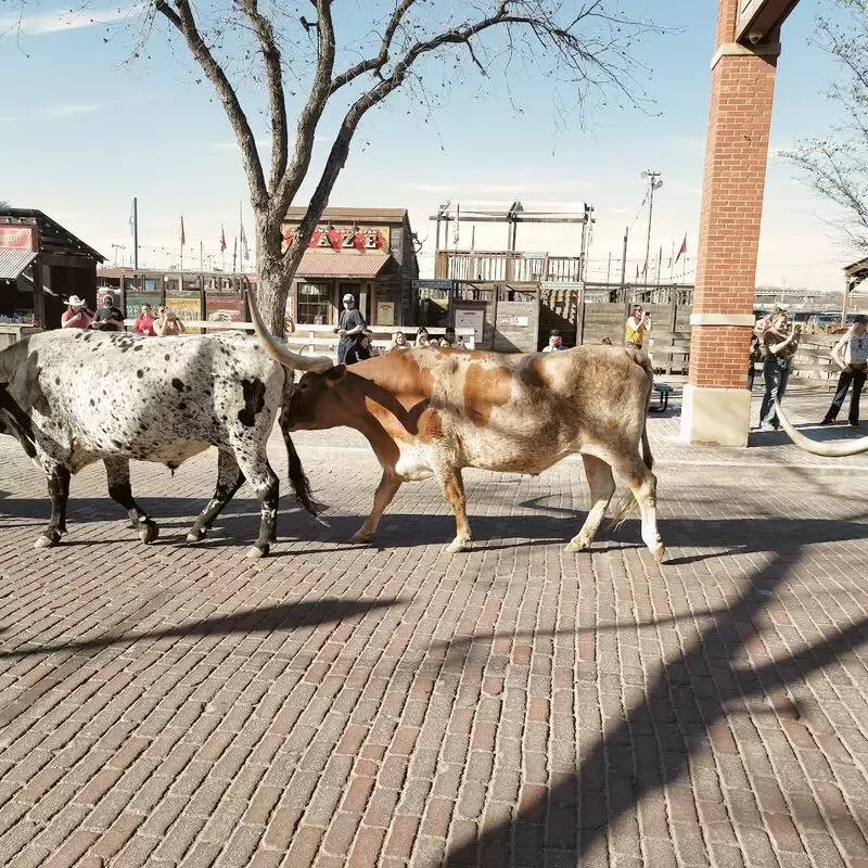 Fort Worth Stockyards