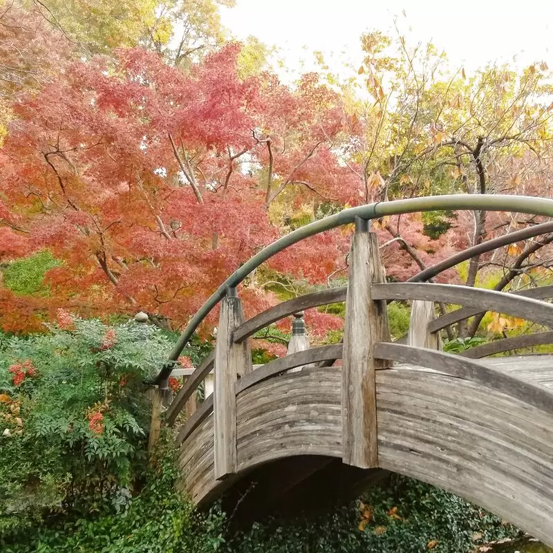 Japanese Garden