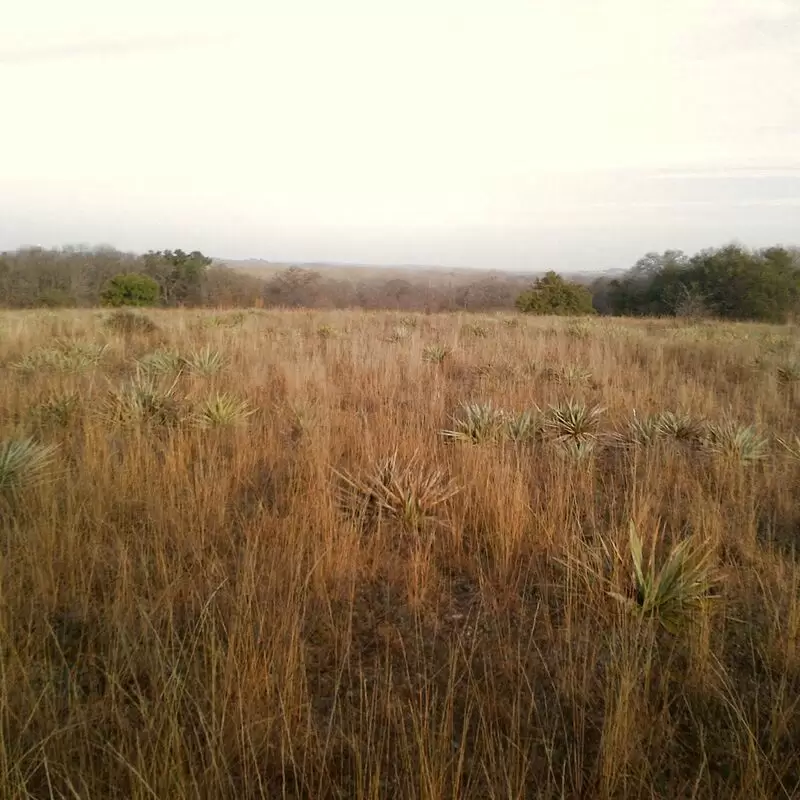 Fort Worth Nature Center & Refuge