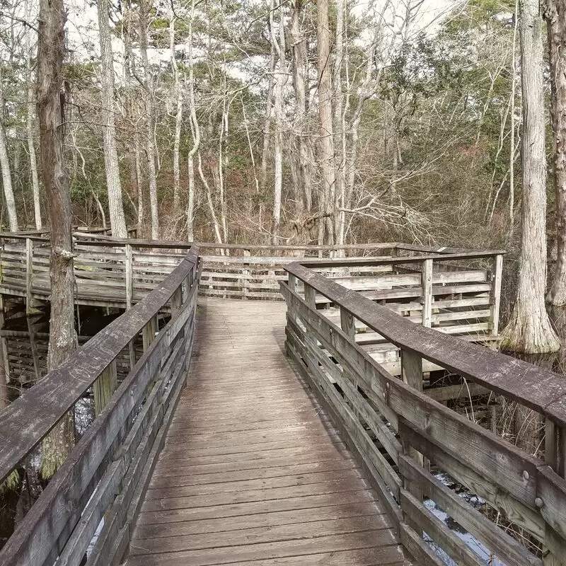 First Landing State Park