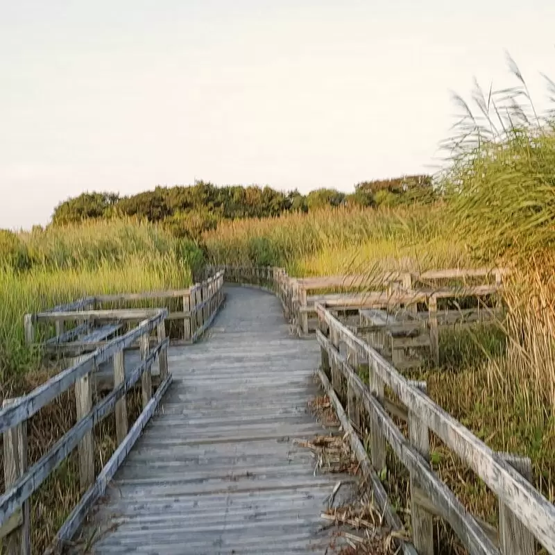 Back Bay National Wildlife Refuge