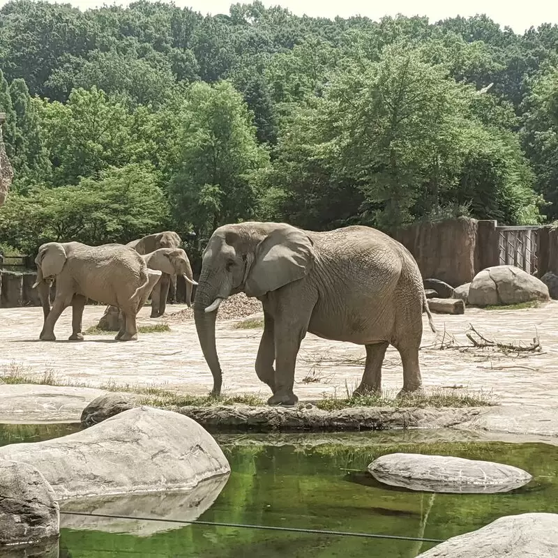 Cleveland Metroparks Zoo