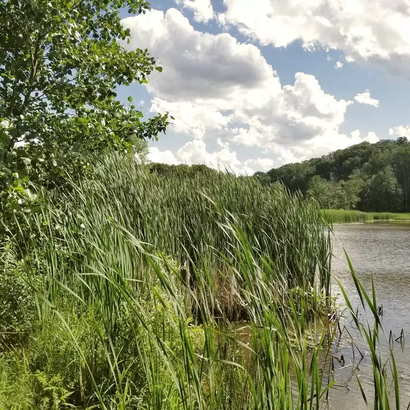 Mill Stream Run Reservation