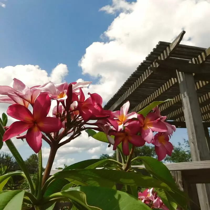 South Texas Botanical Gardens & Nature Center