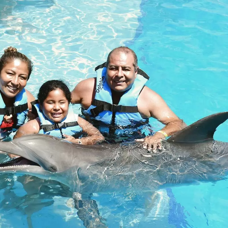 Dolphin Discovery Playa del Carmen