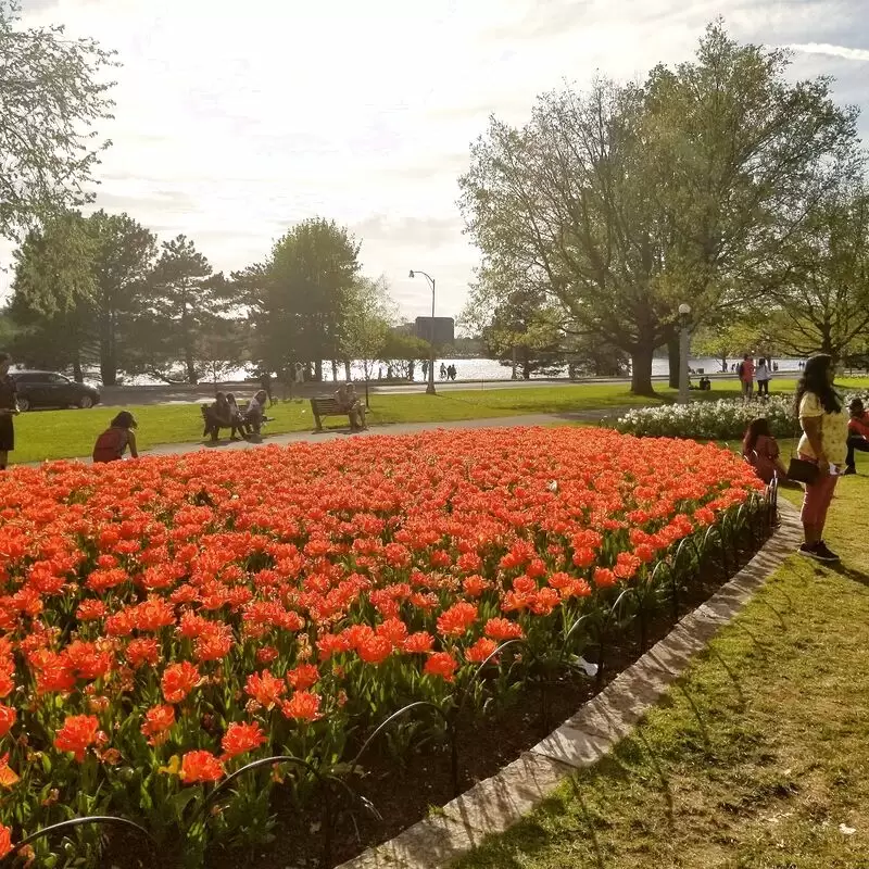 Dows Lake Pavilion