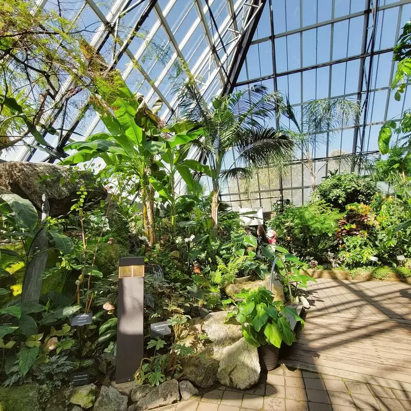 Muttart Conservatory