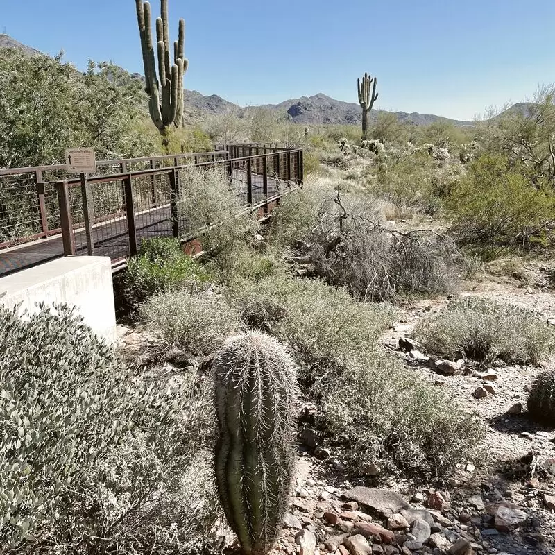 Gateway Trailhead McDowell Sonoran Preserve