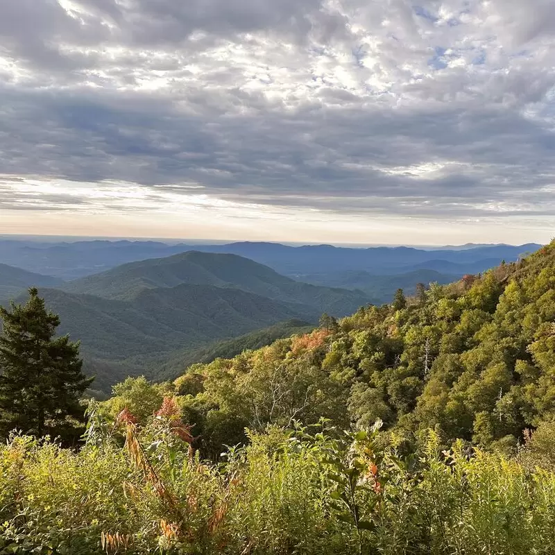 Pisgah National Forest