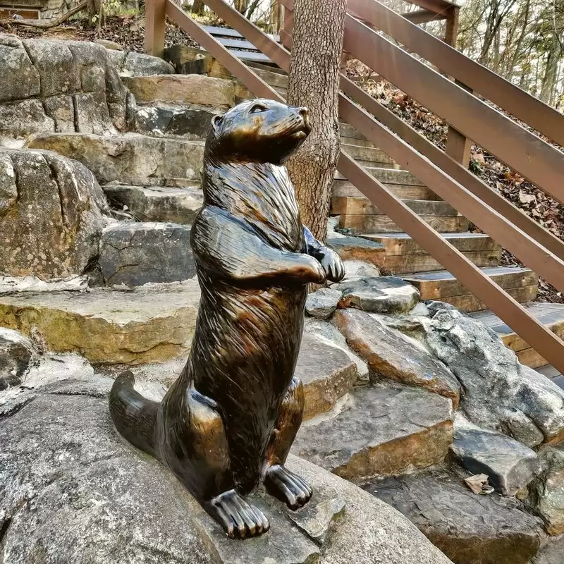 Western North Carolina Nature Center