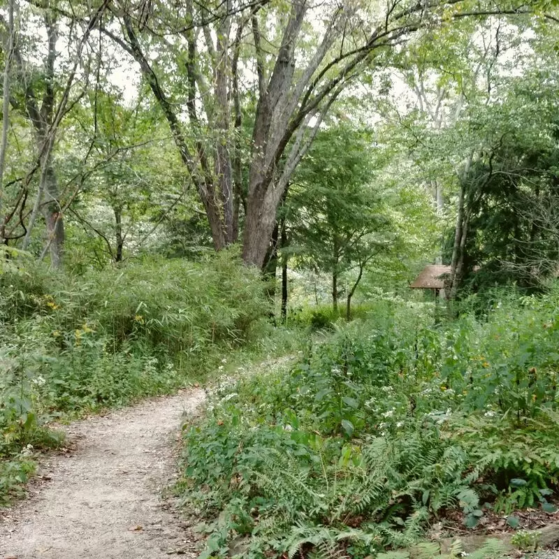 Botanical Gardens at Asheville