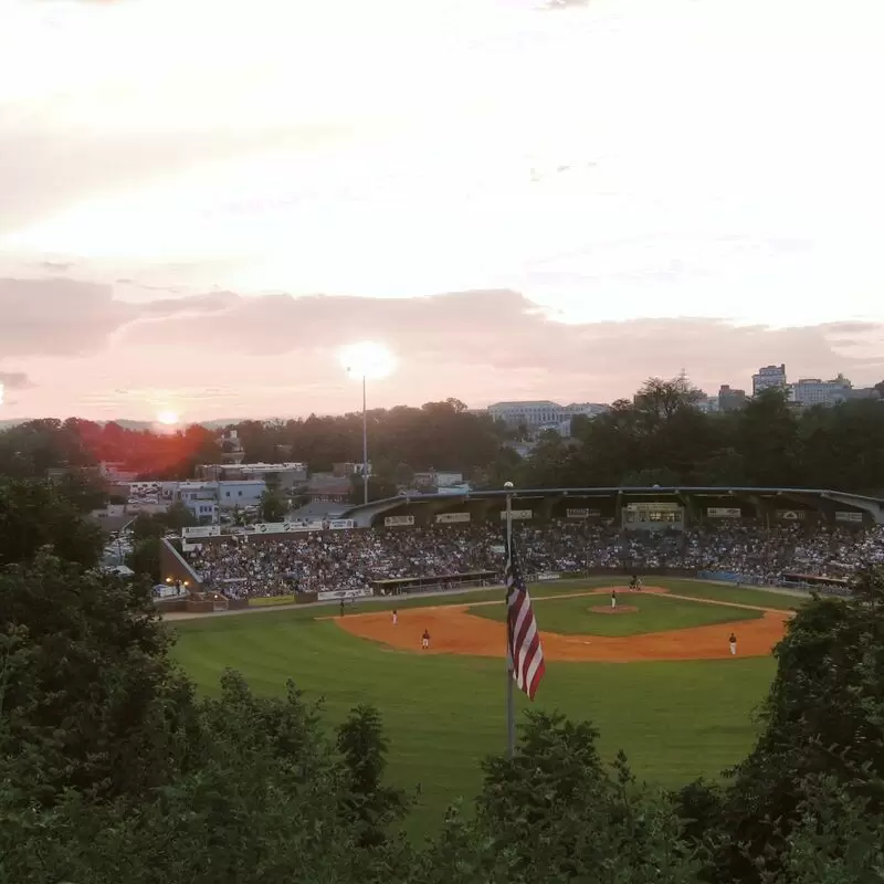 Asheville Tourists