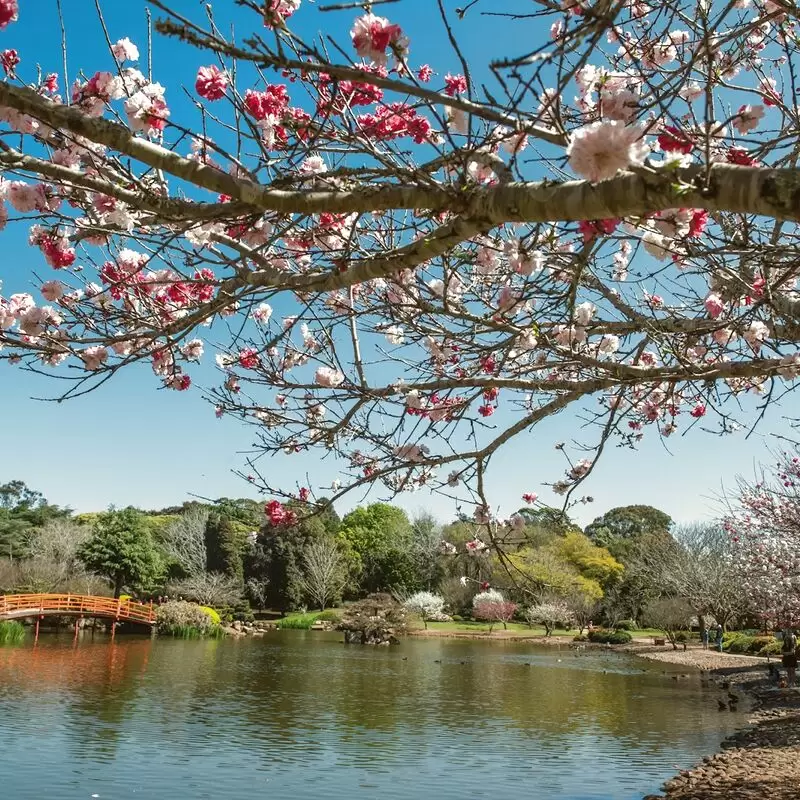 UniSQ Japanese Garden QLD