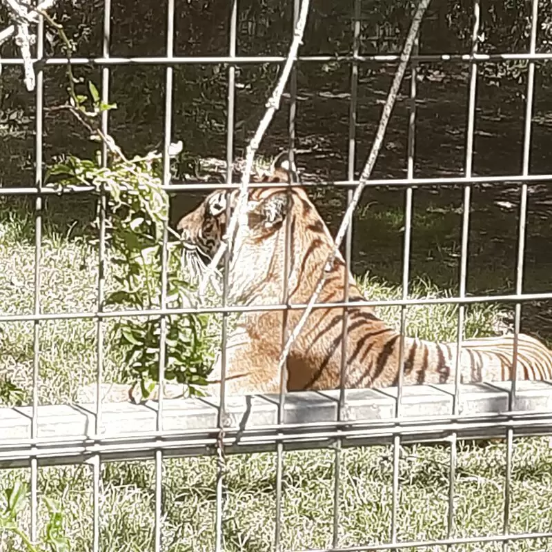 Darling Downs Zoo