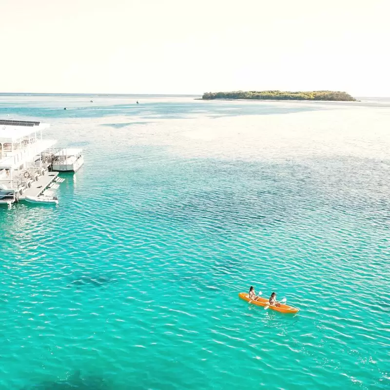 Lady Musgrave Experience Bundaberg Reef Tours