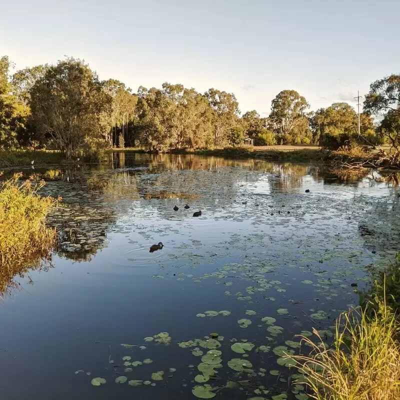 Baldwin Swamp Environment Park