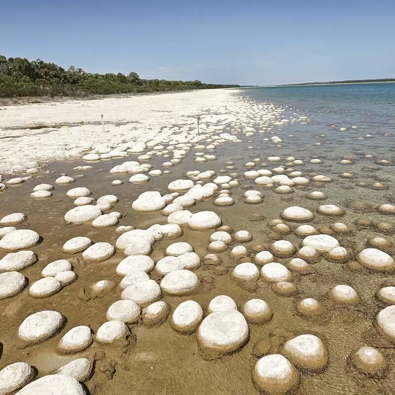 Yalgorup National Park