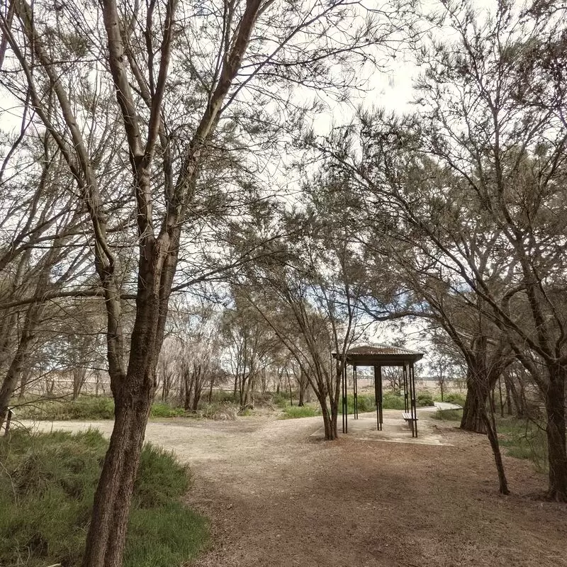 Creery Wetland Nature Reserve