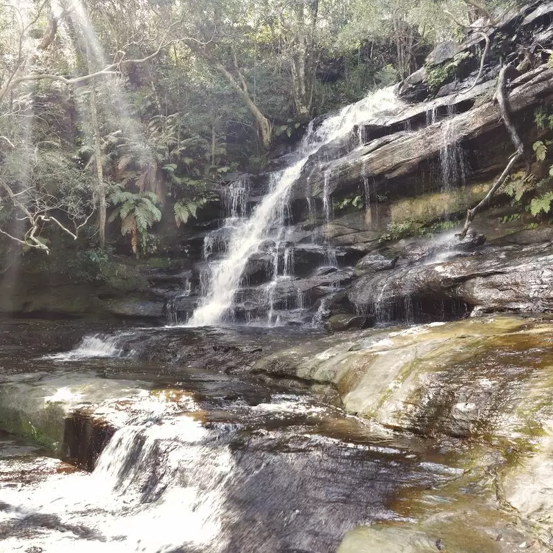 Brisbane Water National Park