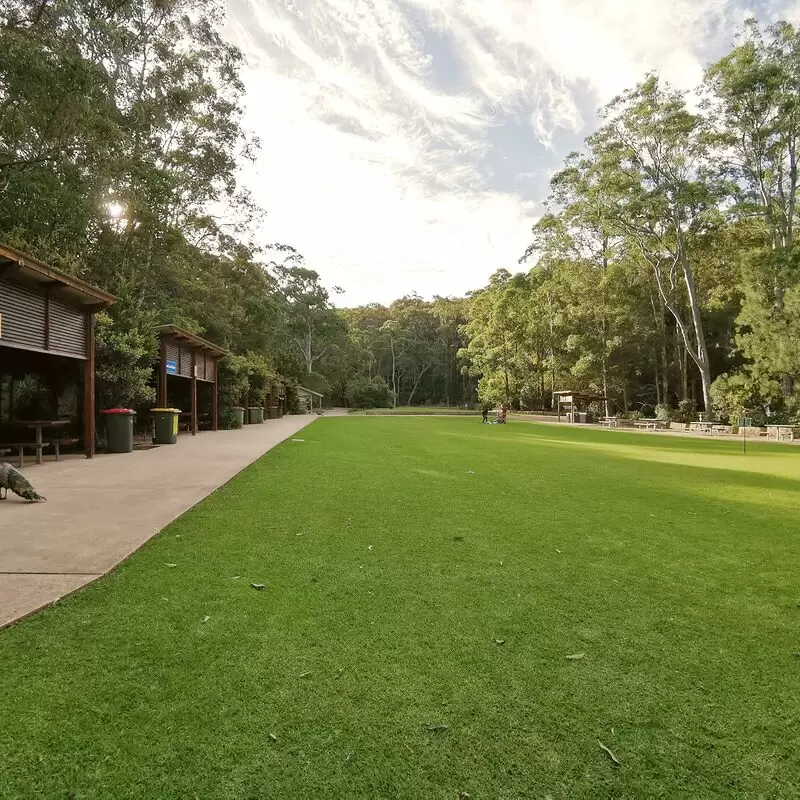 Blackbutt Nature Reserve