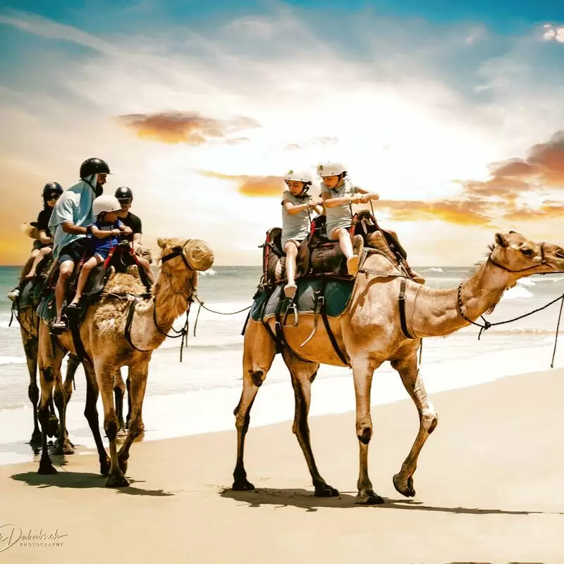 Oakfield Ranch Camel Rides