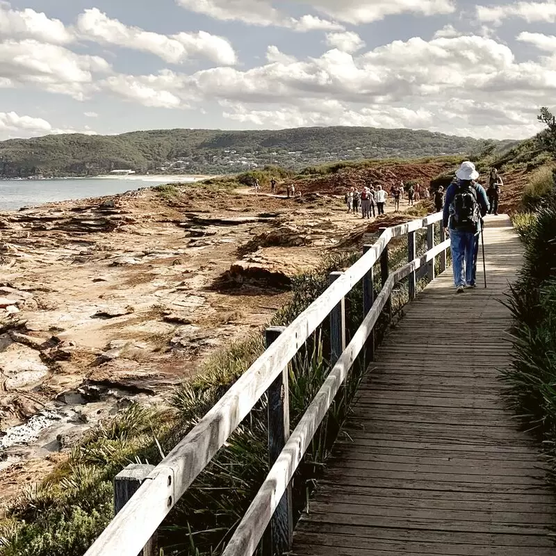 Bouddi Coastal Walk