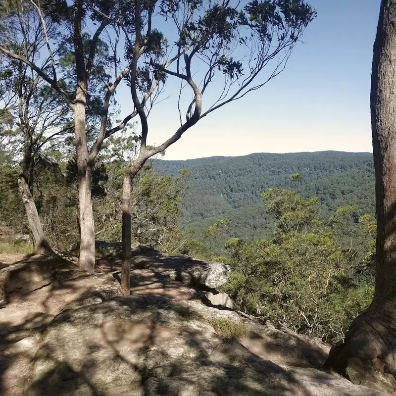 Watagans National Park