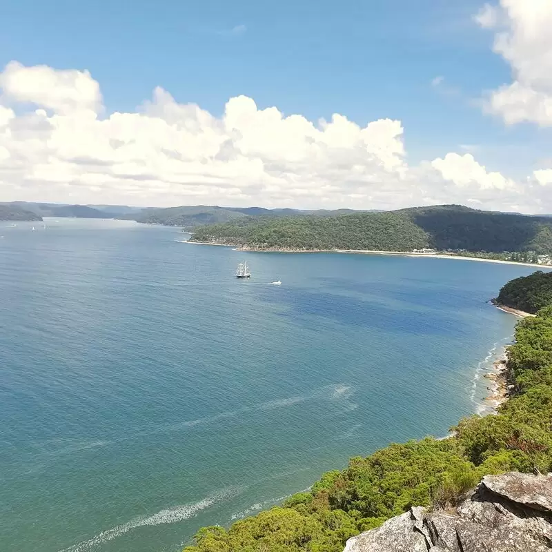 Warrah Lookout