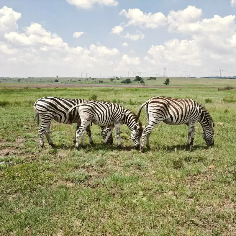 Rietvlei Nature Reserve