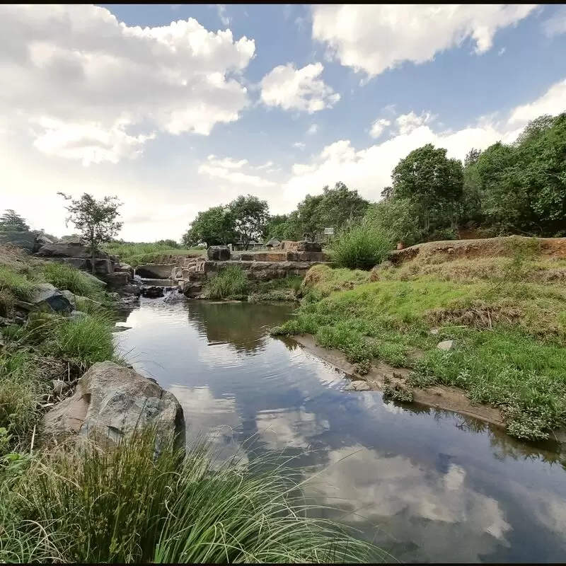 Klipriviersberg Nature Reserve Back Entrance)