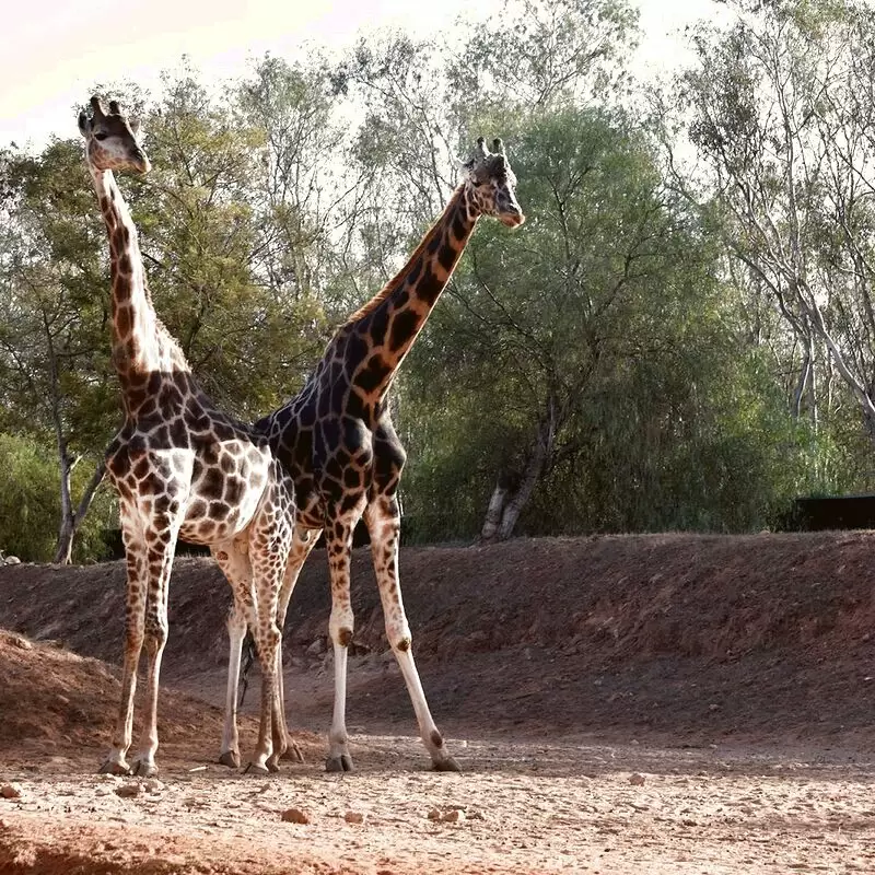 National Zoo Rabat Morocco