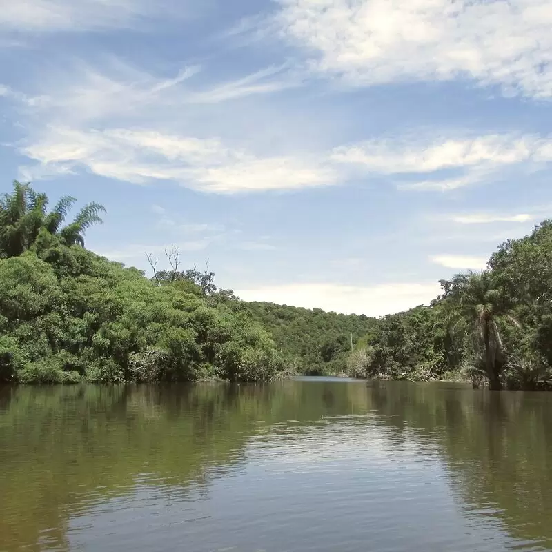 Pugu Hills Nature Forest