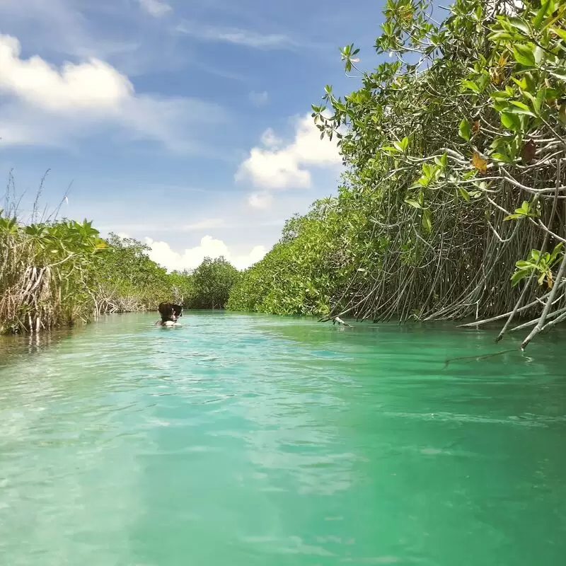 Reserva de la Biósfera Sian Ka'an