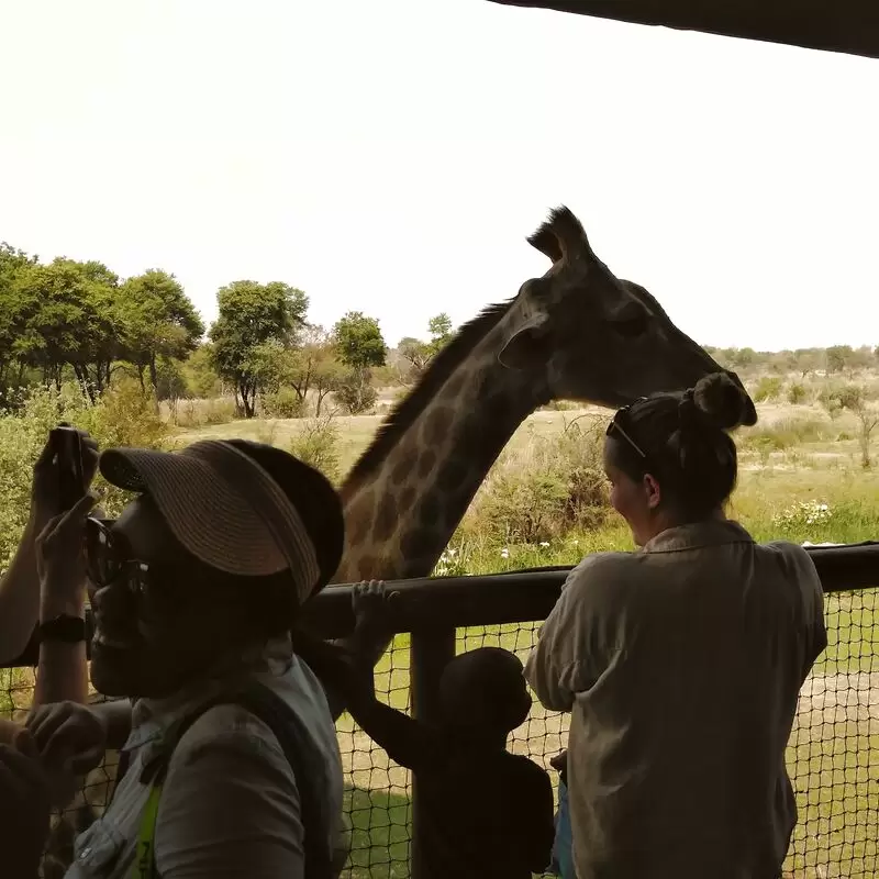 Lion & Safari Park