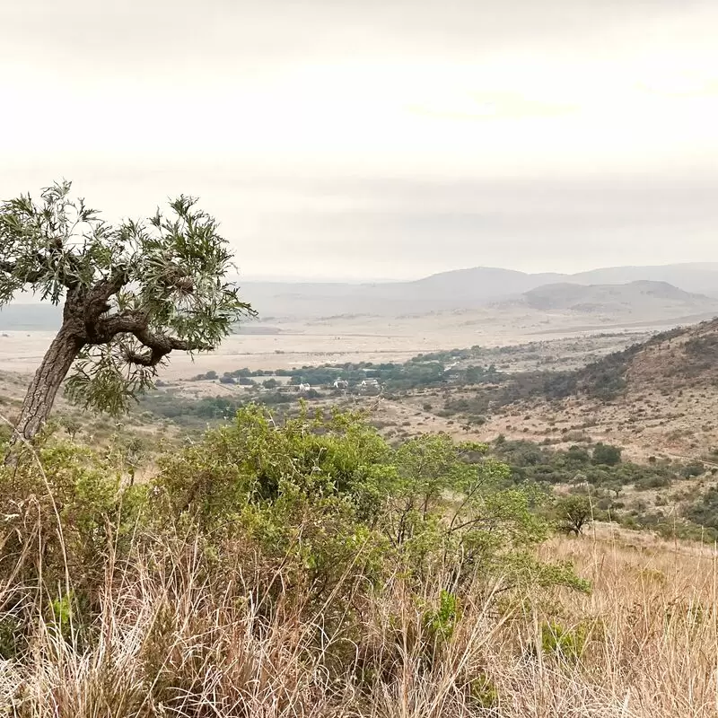 Suikerbosrand Nature Reserve